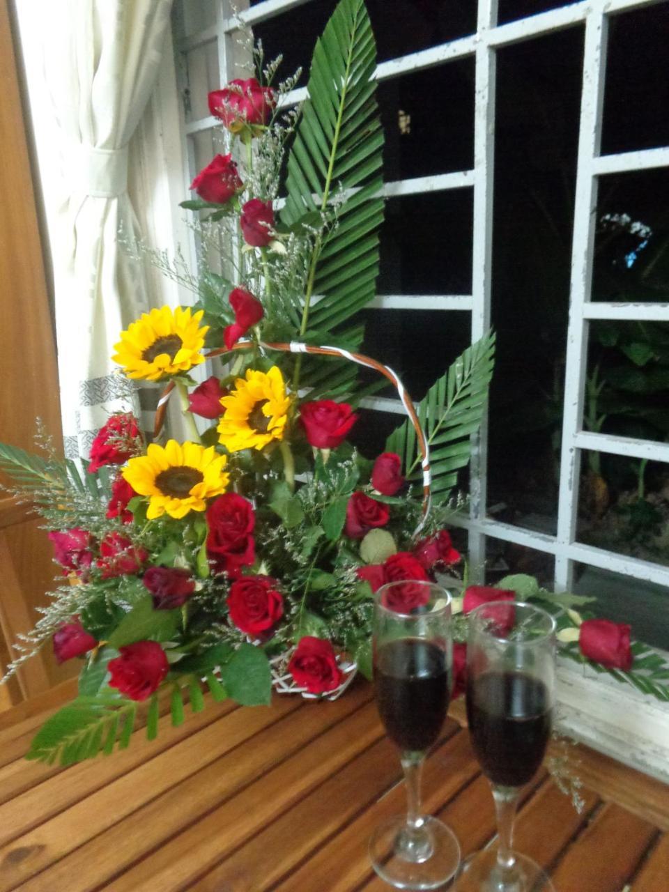 Gingergrass Homestay Hội An Ngoại thất bức ảnh