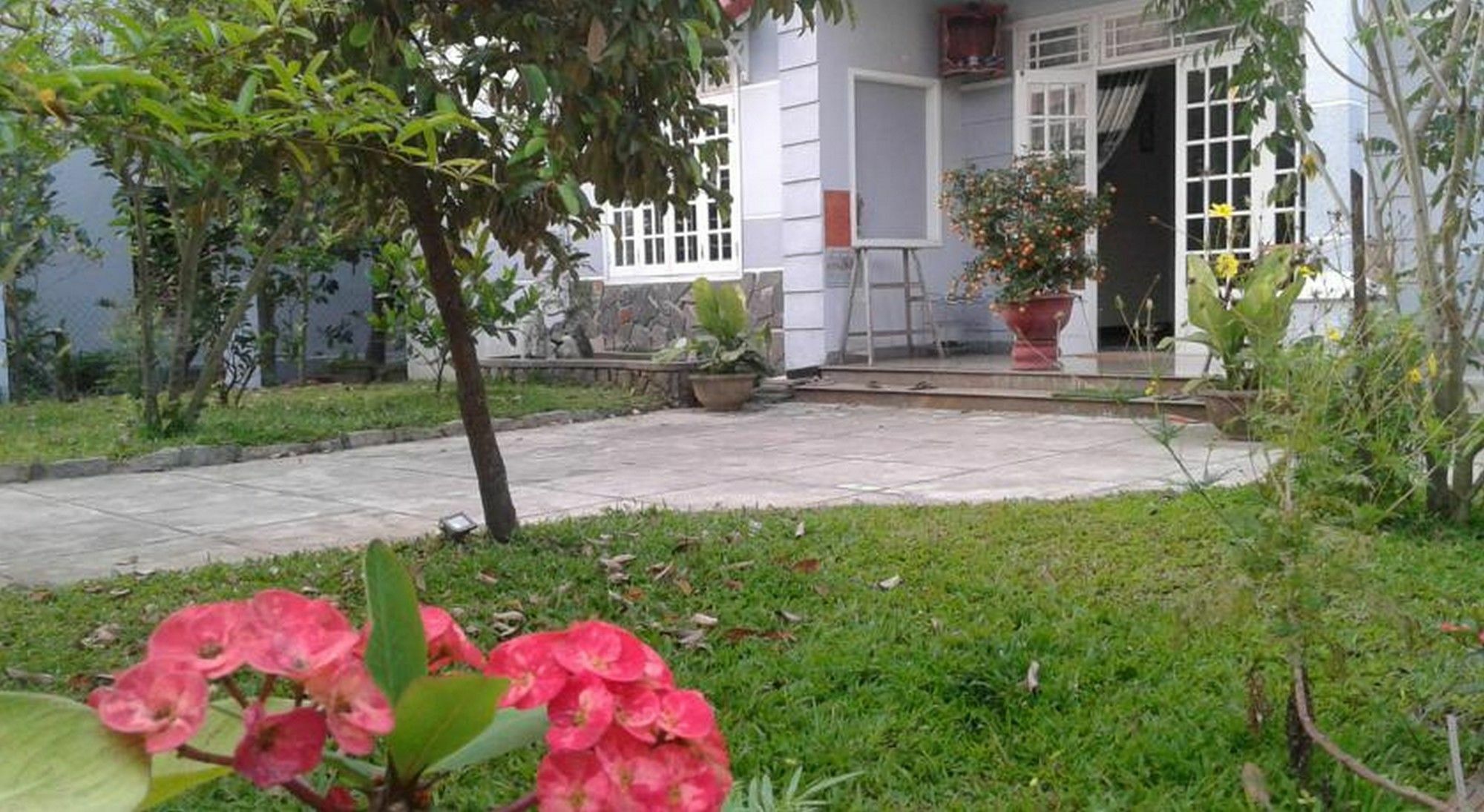 Gingergrass Homestay Hội An Ngoại thất bức ảnh