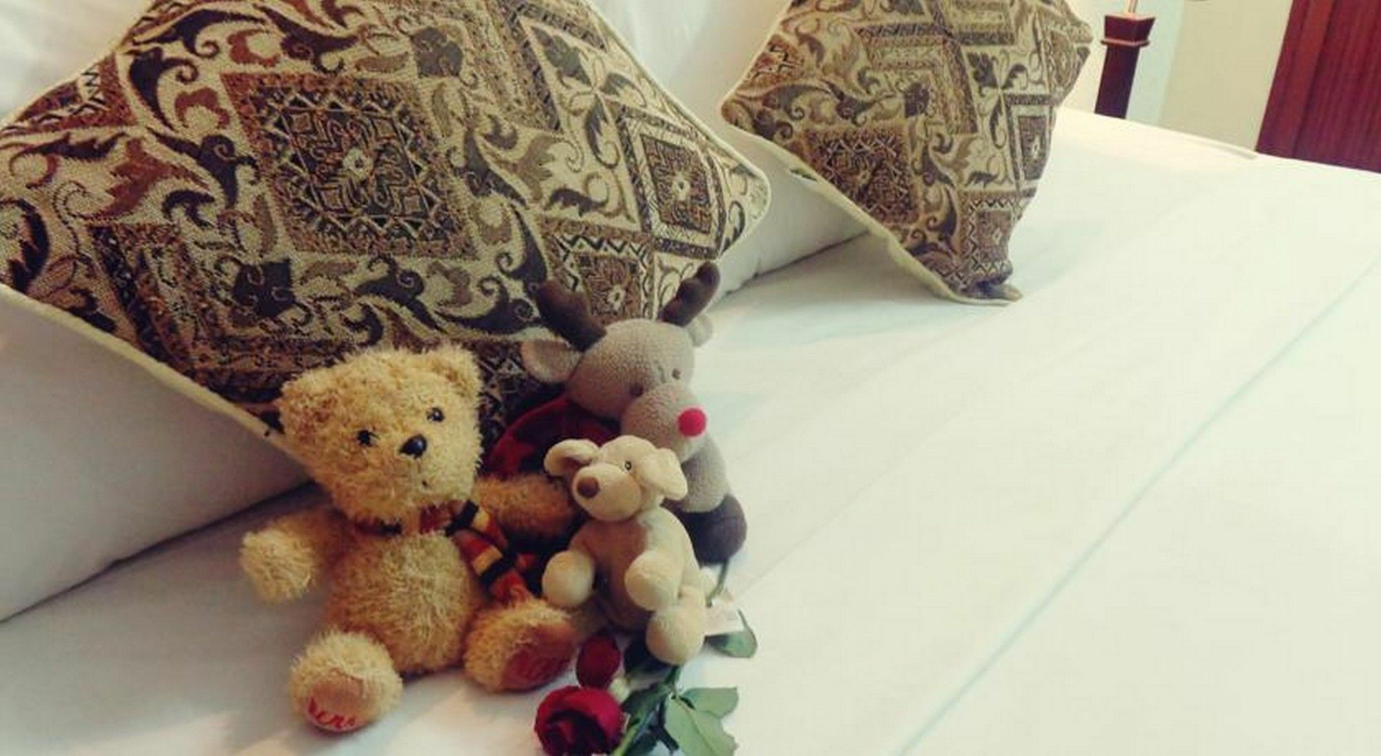 Gingergrass Homestay Hội An Ngoại thất bức ảnh