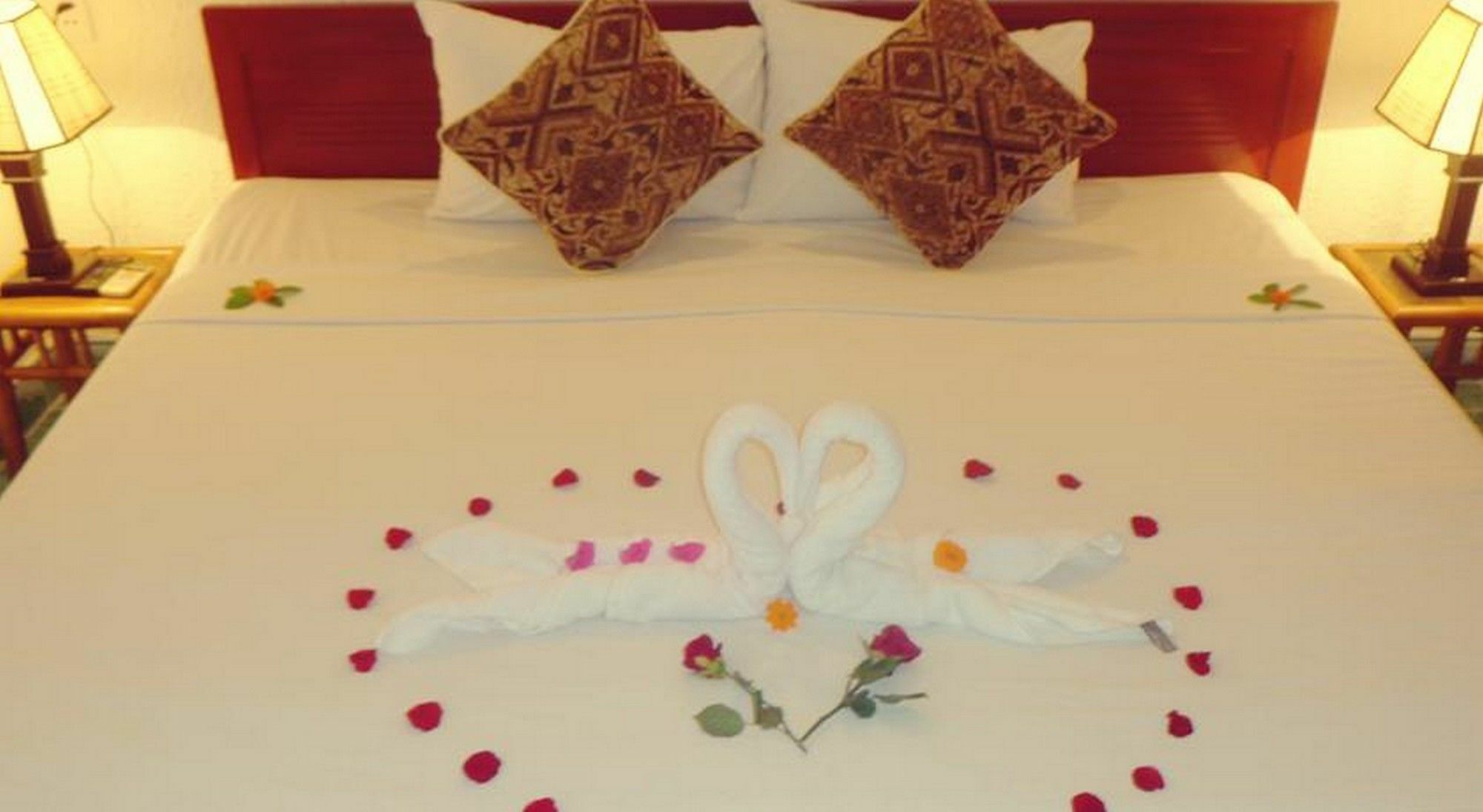 Gingergrass Homestay Hội An Ngoại thất bức ảnh