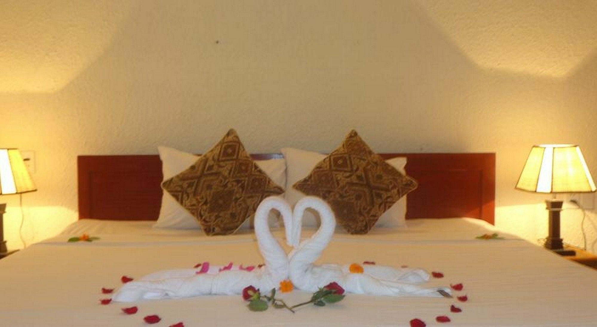 Gingergrass Homestay Hội An Ngoại thất bức ảnh