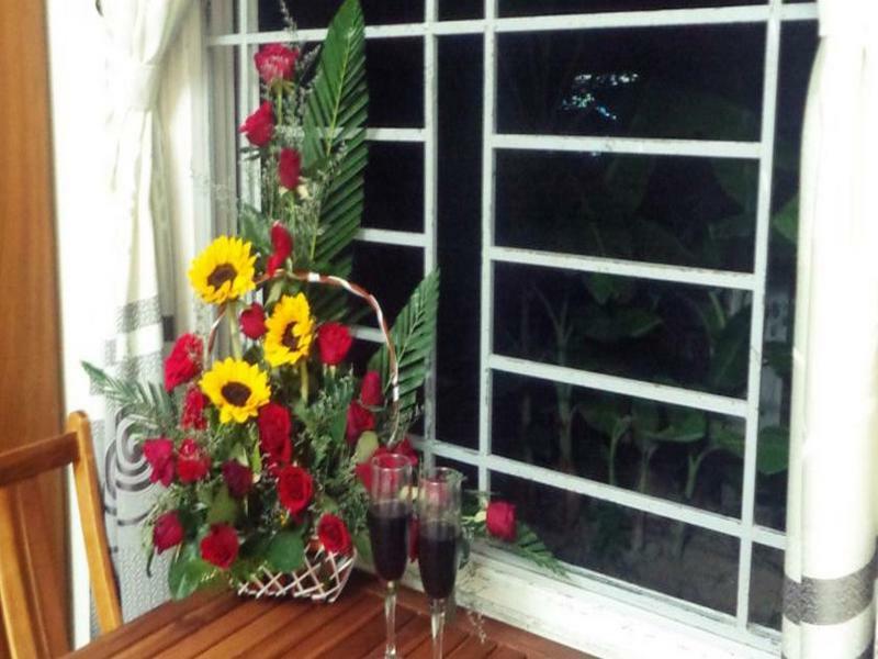Gingergrass Homestay Hội An Ngoại thất bức ảnh