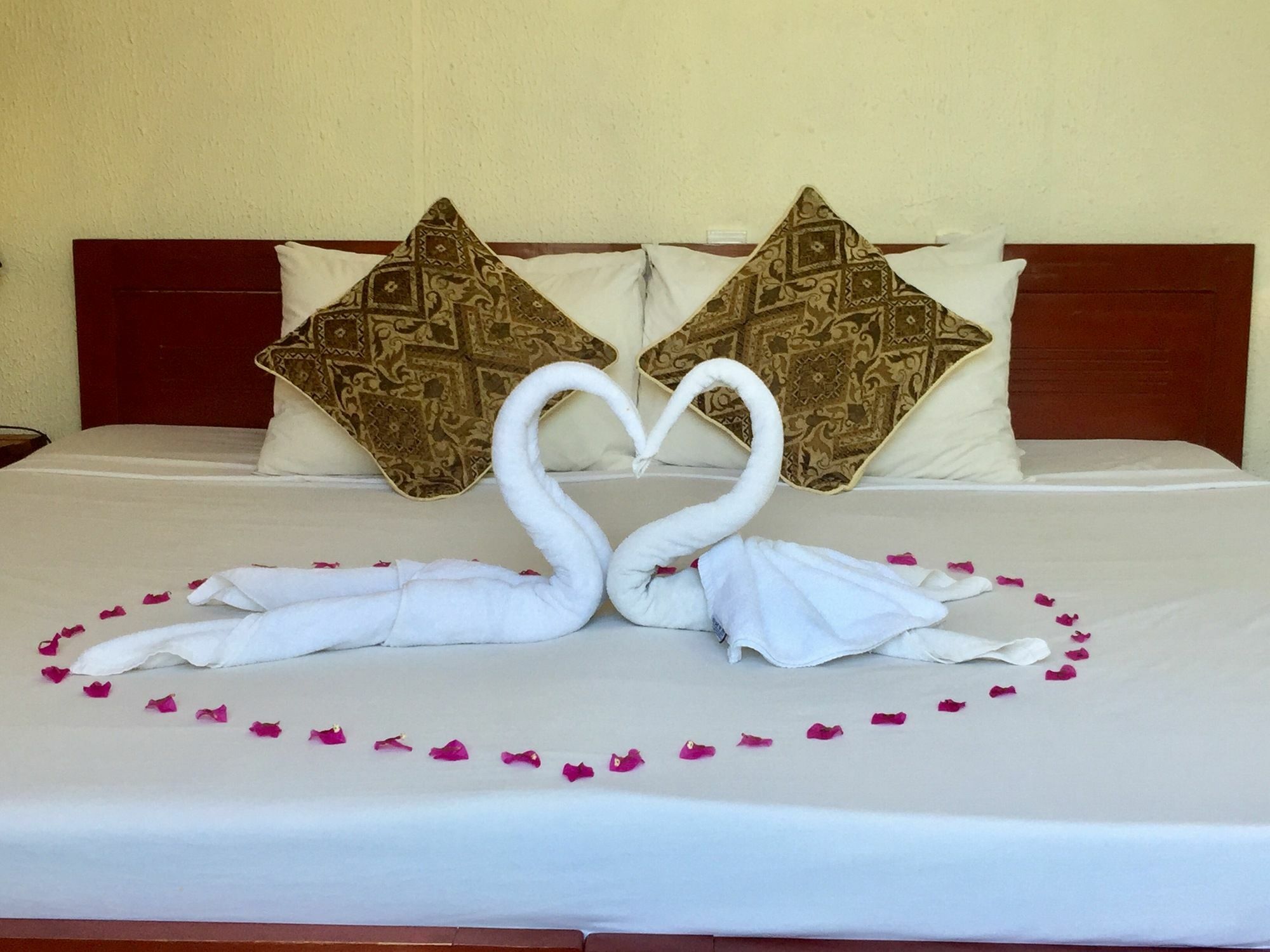 Gingergrass Homestay Hội An Ngoại thất bức ảnh