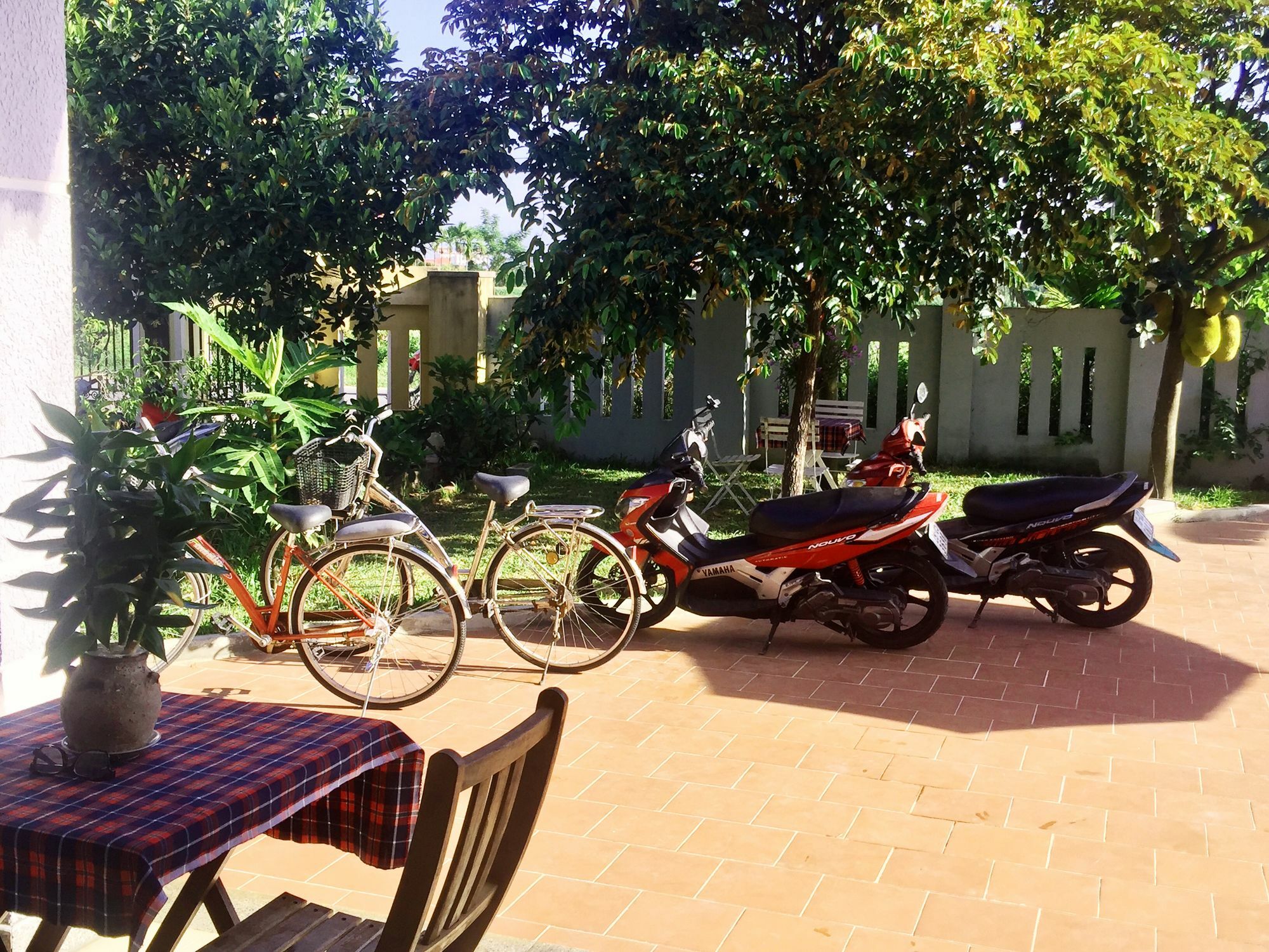 Gingergrass Homestay Hội An Ngoại thất bức ảnh